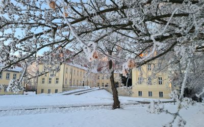Frohe Weihnachten und einen guten Start ins neue Jahr!